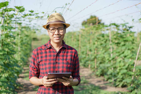 Portrait of Asian farmer woman wearing glasses  while standing holding the tablet in the garden agricultural, Asia women happy and smile at sunlight and looking to cameraの写真素材