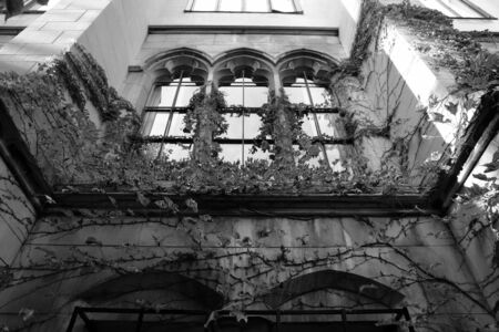 creepy looking building in boston with live and dead ivy growing up it, captured in black and white to bring out it's eerieness, has ornate arched windowsの写真素材