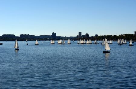 a whole bunch of sail boats floating along the charles river in bostonの写真素材