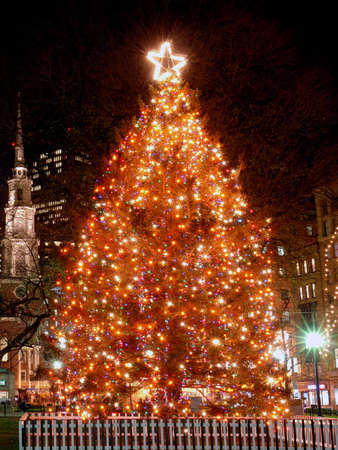 Boston's Official Christmas Tree located in the Boston Commons with the park street chusrch in the background and an office buildingの写真素材