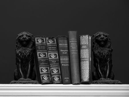 A collection of scholarly books are held upon a shelf with two dust covered lion book ends. Black and white imageの写真素材