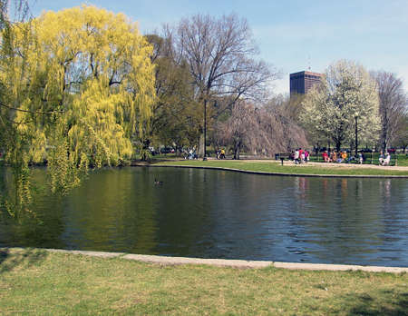 the public garden, boston massachusetts in early springの写真素材