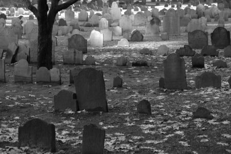 old tombstones mingle with the fallen leaves on a winter's day in the granary cemetery in boston massachusettsの写真素材