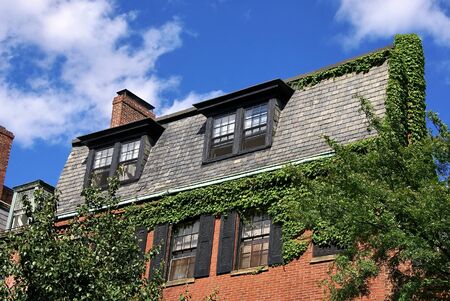 ivy covered roof top and shuttered brick building in charles street in boston massachusettsの写真素材