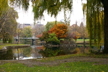 beautiful colorful autumn image of the boston public gardensの写真素材