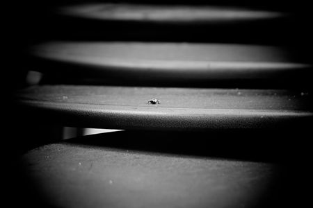stacked up tables with a single fly sitting on the second oneの写真素材