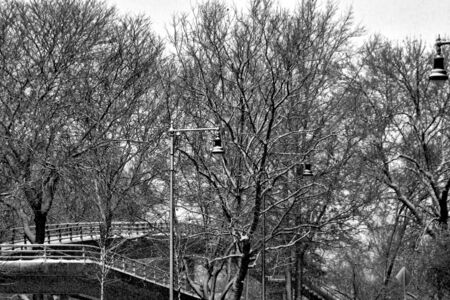 trees streetlights and walking bridge during snowstorm in boston massachusetts