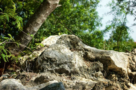 detail of top of hill showing large stones with trees in the backgroundの写真素材