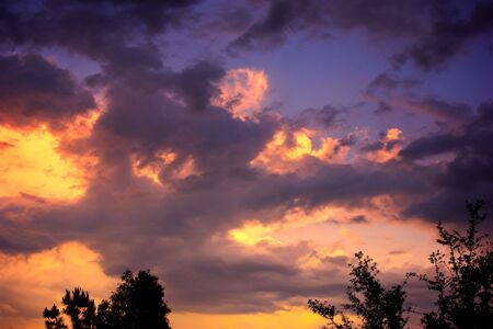 colorful sunset over florida with trees along the bottom