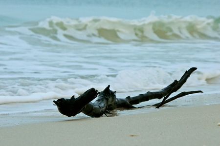 A large piece of black drift wood sits at teh edge of the beach wiith waves crashing in the backgroundの写真素材