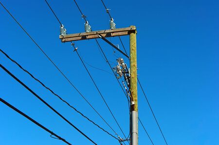 looking up at electrical power lines on utility pole against a blue sky, a morning dove is perched...