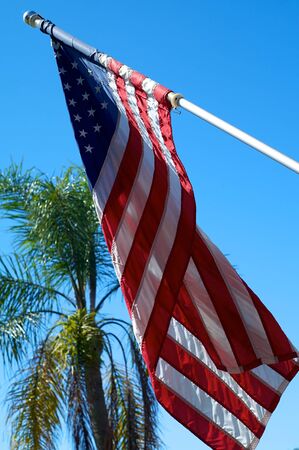 An american flag of the united states is blowing in the breeze on a sunny morning in florida with palm tree.の写真素材