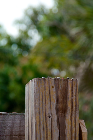 Looking towards the top of a 4 by 4 wooden fence post.の写真素材