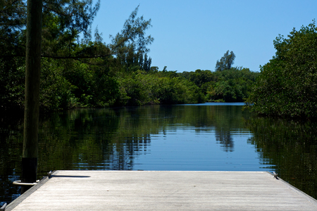 View from the end of a short pier or boat dock  on Imperial River in Bonita Springs, Florida.の写真素材