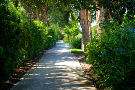 View of beautiful tree lined bike path that connects Bonita Springs to Naples in southwest florida in spring time with flowers and tropical trees.の写真素材