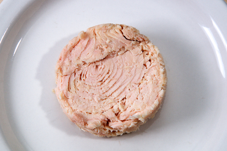 Looking down at Solid white albacore tuna fish up close on white plate still shaped like the can it came in on wooden table.の写真素材