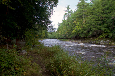 View of walking path at the au sable river, in wilmington new york in the adirondack mountains.の写真素材