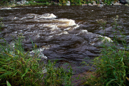 close up view of the au sable river, with rapids in wilmington new york in the adirondack mountains from behind a tree.の写真素材