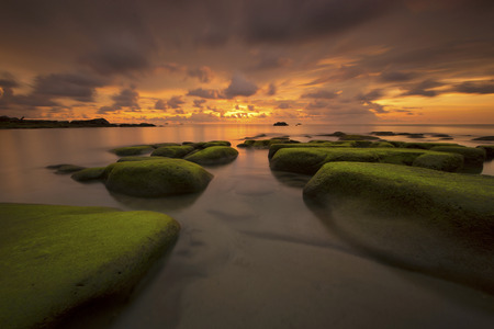 Beautiful sunset decorated with waves and mosses stoneの写真素材