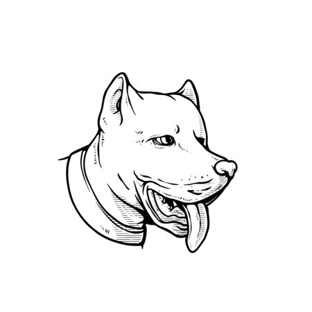 illustration vector graphic of dog face sketch, perfect for print. etcの写真素材