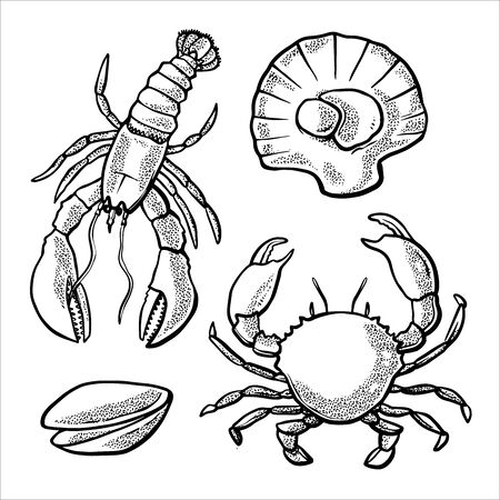 illustration vector graphic of seafood line art, perfect for menu, logo and etcのイラスト素材