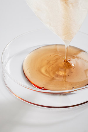 Pouring honey into a petri dish on a white background.の写真素材