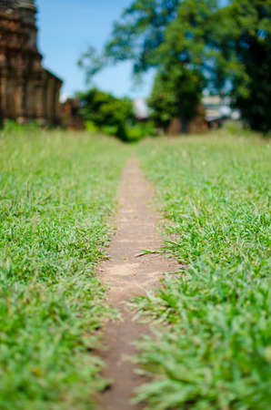 Pathway through the gardenの写真素材