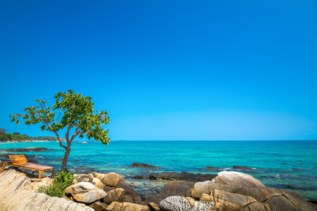 Bed under tree on Stone shores Beach of Samet Island, Rayong, Thailand.の写真素材