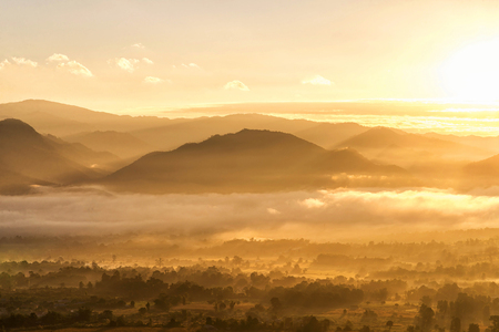 Sunrise golden light of dawn in fog.の写真素材