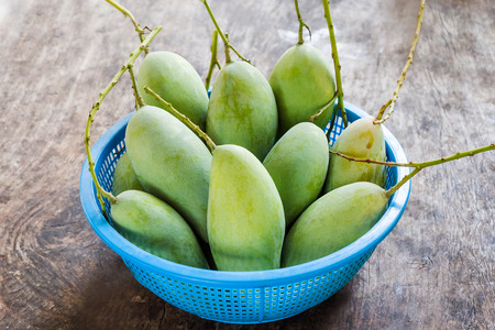 Fresh Green mangos in blue basket on the wooden floor.の写真素材