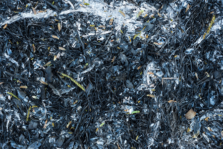 Burning leaves to dry ashes on the floor.の写真素材