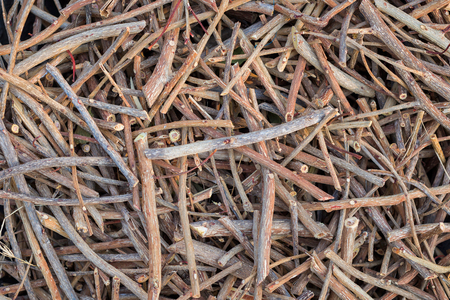 Firewood and brushwood, placed group on the floor.の写真素材