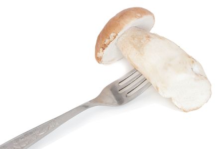 mushrooms on the fork of isolations on whiteの写真素材