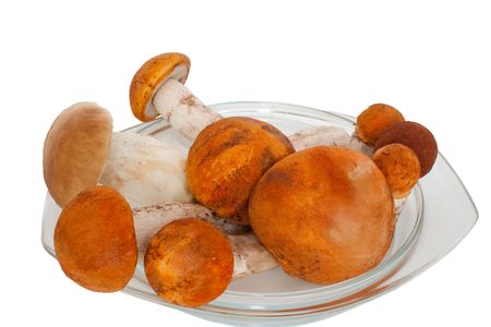 Forest mushrooms on a dish are isolated white background の写真素材
