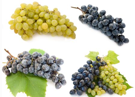 Mixed grape fresh, different. Bunch of raw grape in a white backgroundの写真素材