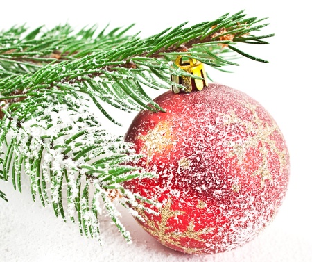 Christmas and new-year decorations. Fir tree snow branch with decoration on a white backgroundの写真素材