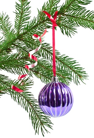 
Christmas and new-year decorations. Fir tree branch with decoration on a white background
の写真素材
