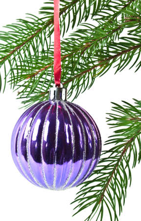 Christmas and new-year decorations. Fir tree branch with decoration on a white backgroundの写真素材