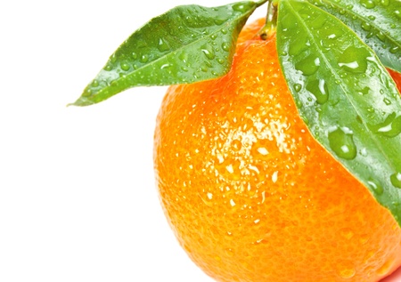 Tropical fruit. Much Fresh tangerine with leaves isolated on a white backgroundの写真素材