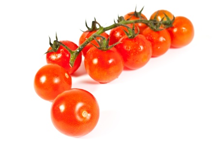 many cherry tomatoes on a green branch isolated on a white backgroundの写真素材