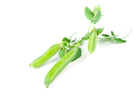 Young green pea on a white background
