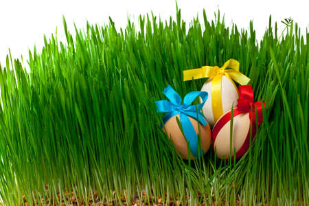 decorated easter eggs in the grass on a white background