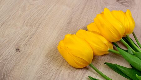 Yellow tulips on a wooden table, easter background, top view, flowers frameの写真素材