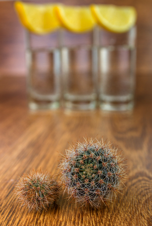 Two small cactus in the background on the three shots of tequila silver with Lemonの写真素材