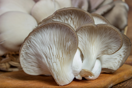 Fresh oyster mushroom on the board, horizontal front view. Healthy oyster mushroom. Basket with mushrooms.の写真素材