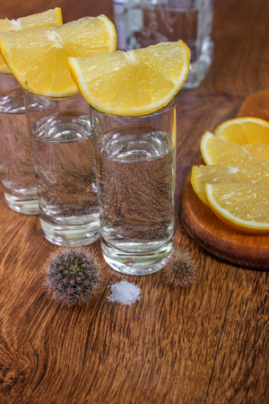Silver Tequila shot with lemon and two small cactus on a wooden backgroundの写真素材
