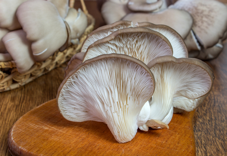 Fresh oyster mushroom on the board, horizontal front view. Healthy oyster mushroom. Basket with mushrooms.の写真素材