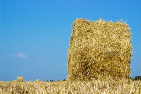 Rolls of haystacks on the field. Summer farm scenery with haystack on the Background of beautiful sunset. Agriculture Concept.Harvest conceptの写真素材