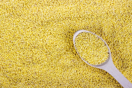 Wooden spoon with millet grains on spoon backgroundの写真素材