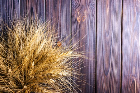 ears of wheat on wooden background Harvest concept